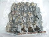 oyster04 Wholesale 100PCS vacuum-packed  pearl oysters with Round pearls