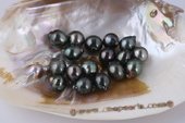 Btahiti1112A Unique 11-12mm Drop Shape baroque circle Black loose Tahitian pearls, A Grade