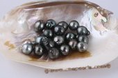 Btahiti1314A Unique 13-14mm Drop Shape Circle Baroque Tahitian loose pearls, A Grade