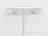 Cpe060  Fashion Gold Tone Zircon Stud Earring (ten pairs)