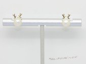 Cpe080 Gold tone 6-6.5mm white bread pearl earrings (ten pairs)