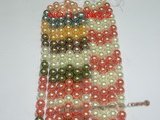 SHPS501 Multicolor rainbow shell pearl strands,14mm or 16mm