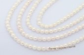 aps6-6.5a1 16-inch 6-6.5mm A+ White Cultured Akoya Pearl strands