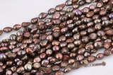 blister049 Brown Color Freshwater Baroque Blister Pearl,11-13mm