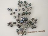 brooch054 18KGP black color freshwater rice pearl chandelier brooch