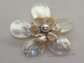 brooch098 65mm  blooming flower shell  brooch Pin with freshwater pearl