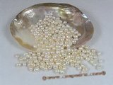 lpb009 100PCS 6*8mm AAA nature white rice-shape freshwate loose pearl wholesale