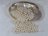 lpb086 50PCS 6-7mm AA white round freshwate loose pearl wholesale