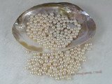 lpb087 50PCS 7-8mm AA white round fresh wate loose pearl wholesale