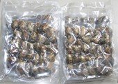 oyster010 Mix 120PCS  vacuum-packed  pearl oysters with round pearls in mix size and mix color