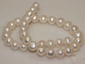 pps030 12-14mm  white shiny potato freshwater pearl strand