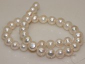 pps030 12-14mm  white shiny potato freshwater pearl strand