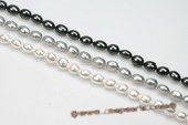 shps007 10*13mm Oval Shape South Sea Shell Pearl Strands