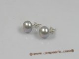spe119 10-11mm grey breads pearl sterling silver studs earrings