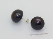 spe597 Large black breads pearl sterling silver studs earrings