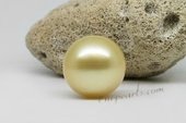 ssp15-16mm Luxury 15-16mm Nature  Golden south sea loose pearl,AA grade