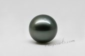 Tahiti13-14a 13-14mm large natural black tahitian loose pearls in A grade