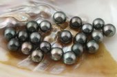 Tahiti8-9b Wholesale 8-9mm natural black tahitian loose pearls, B Grade