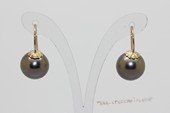 Thpe001 14K yellow gold 8-9mm black round tahitian pearl fishhook earings