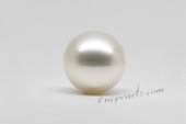 wssp12-13mm whoelsale 12-13mm AA grade south sea white loose pearl